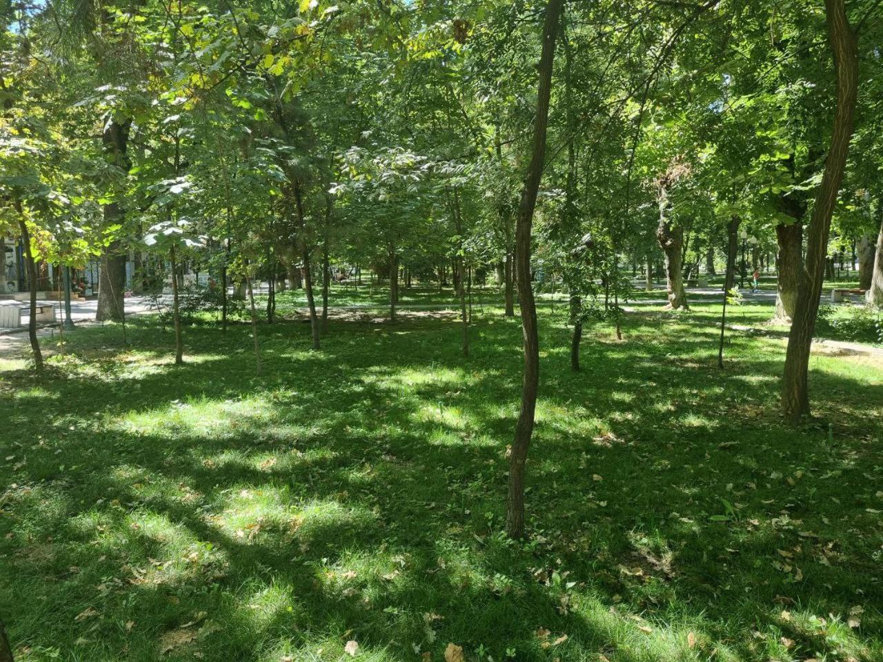 City Center Apartment 1 塔什干 外观 照片