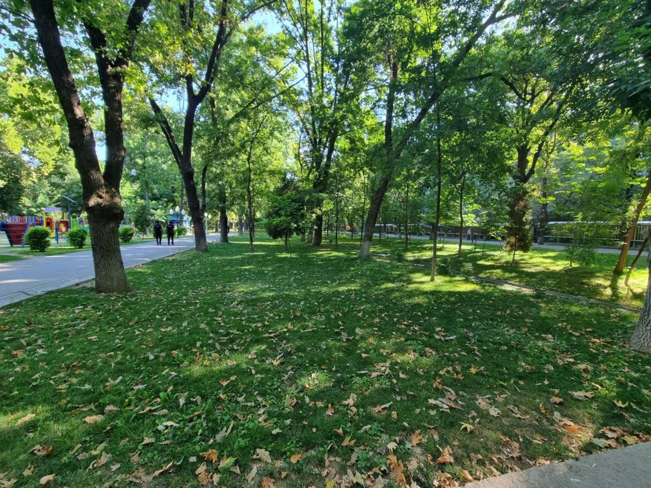 City Center Apartment 1 塔什干 外观 照片